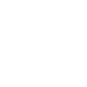The Crypto Support Logo img